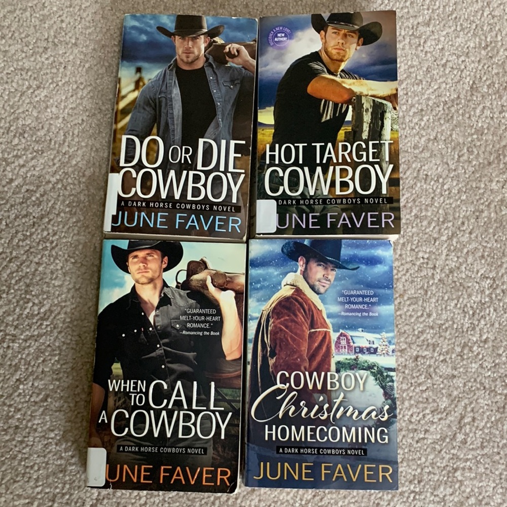 Dark Horse Cowboys 4-Book Series by June Faver